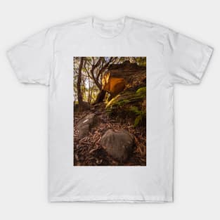 Cave In Bushland T-Shirt